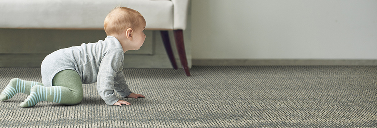 Wool Carpet