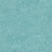 Aqua