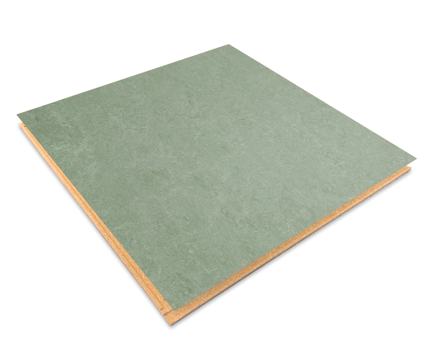 Sage 3891