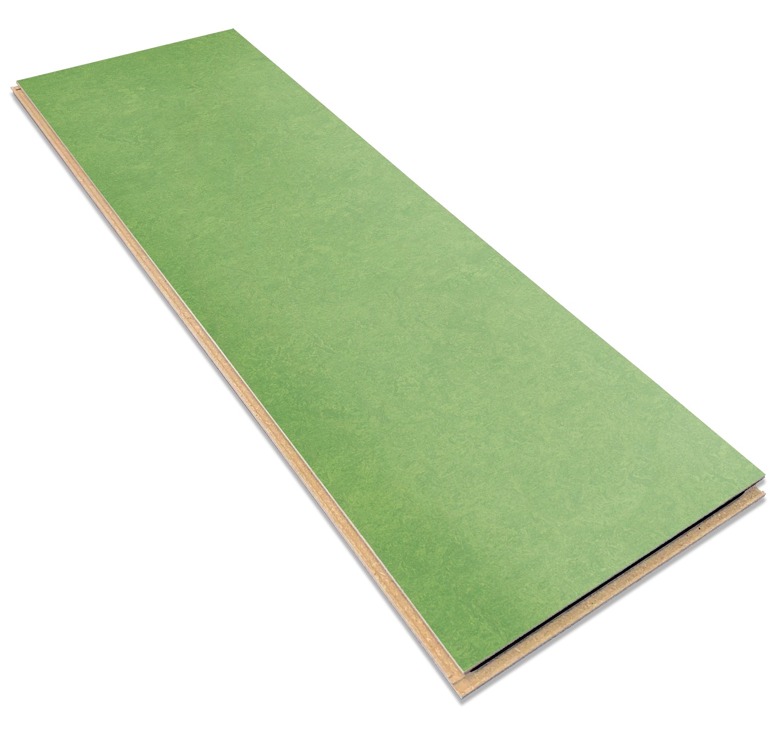 Leaf 3260