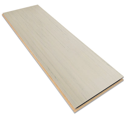 Sandy Chalk 5257