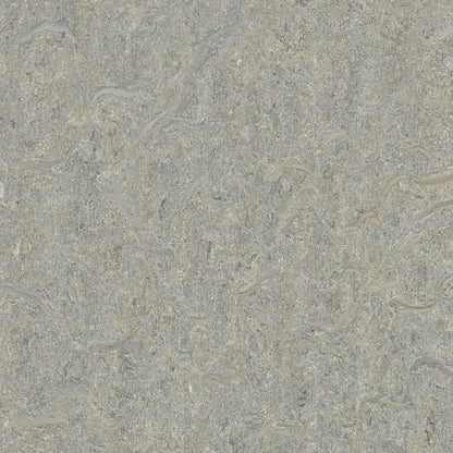 Alpine Mist 5802 : Square - Marmoleum Click Cinch Loc Seal