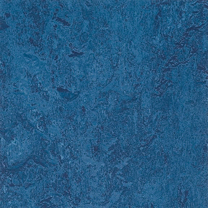 Blue 3030