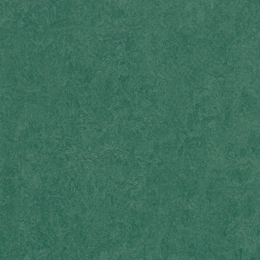 SAMPLE - Hunter Green 3271 - Marmoleum Click Cinch Loc Seal