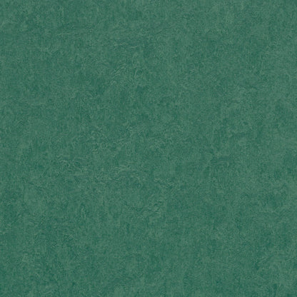 Hunter Green 3271