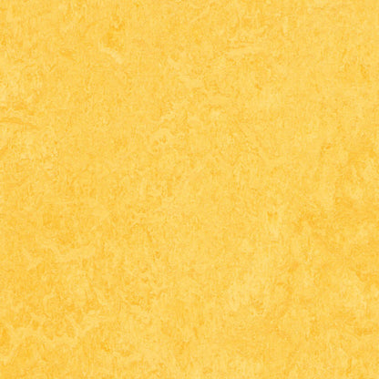 Lemon Zest 3251