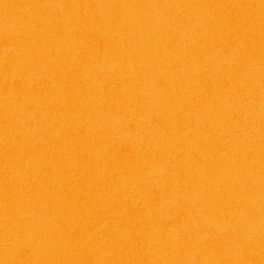 SAMPLE - Marigold 3262 - Marmoleum Click Cinch Loc Seal