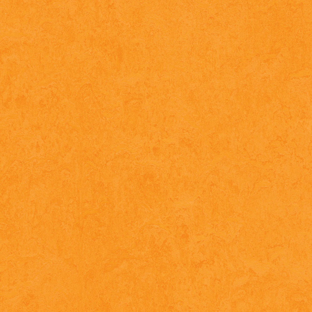Marigold 3262