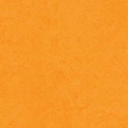 Marigold 3262