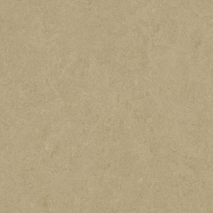 Oat 3890 : Panel - Marmoleum Click Cinch Loc Seal