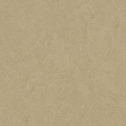 Oat 3890 : Panel - Marmoleum Click Cinch Loc Seal