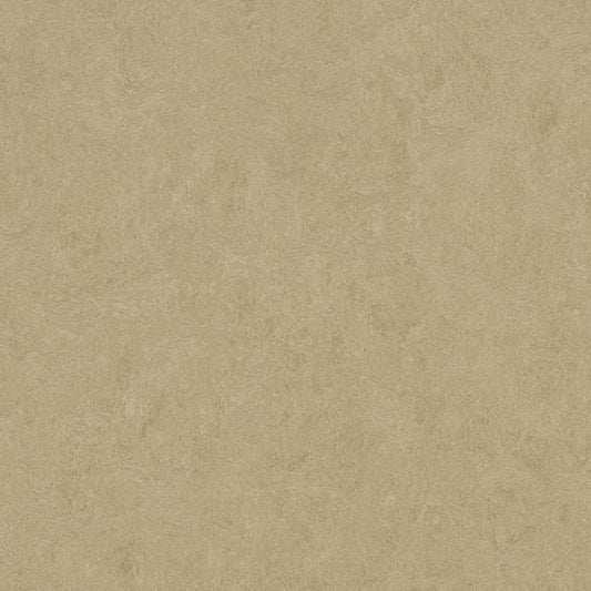 SAMPLE - Oat 3890 - Marmoleum Click Cinch Loc Seal