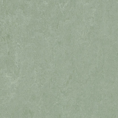 Sage 3891 : Square - Marmoleum Click Cinch Loc Seal