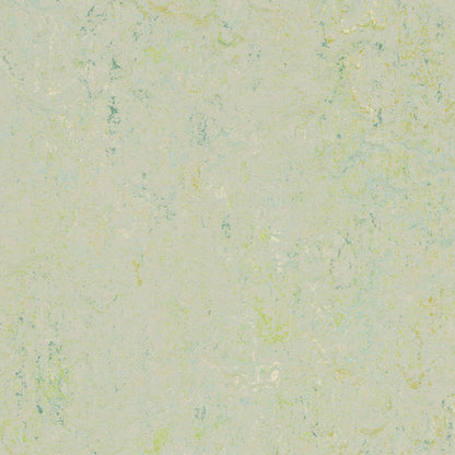 Salsa Verde 3430 : Square - Marmoleum Click Cinch Loc Seal