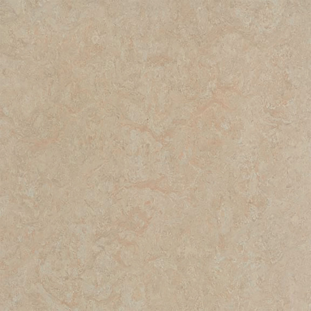Silver Birch 3871