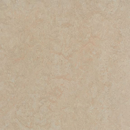 Silver Birch 3871