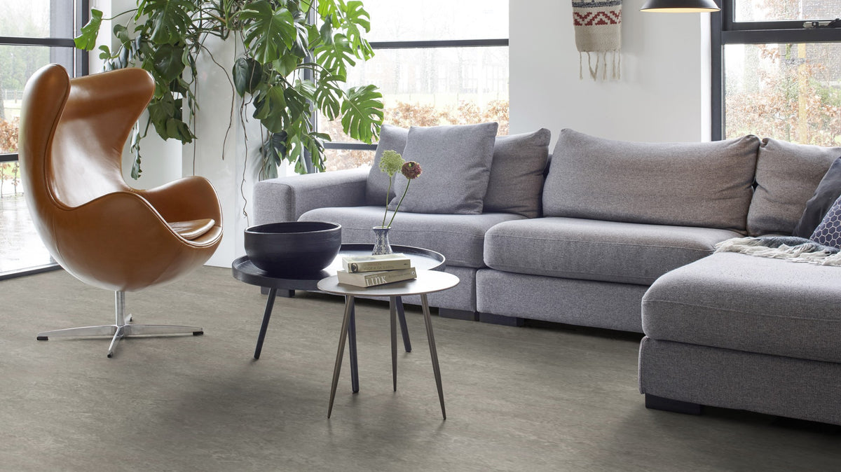 Serene Grey 3146