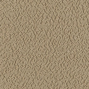 Cantabrian Taupe