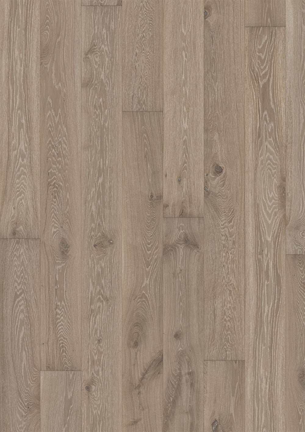 Oak Nouveau Gray