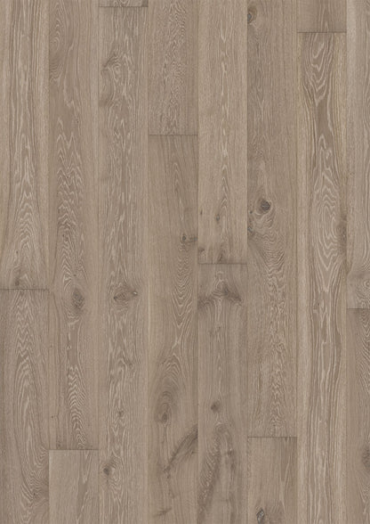 Oak Nouveau Gray