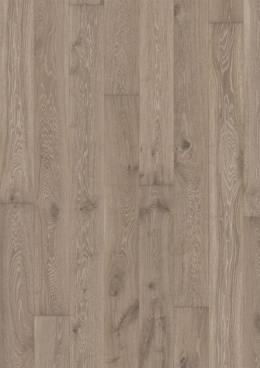 Oak Nouveau Gray