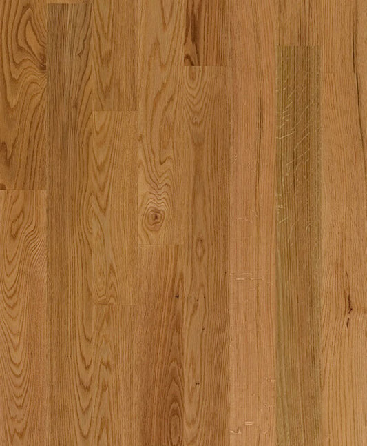 Mesa Red Oak