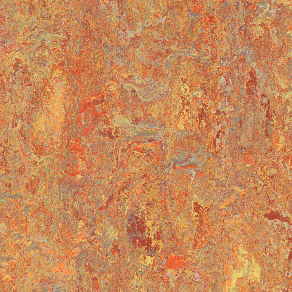 Asian Tiger 3403