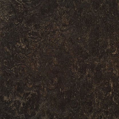 Dark Bistre 3236