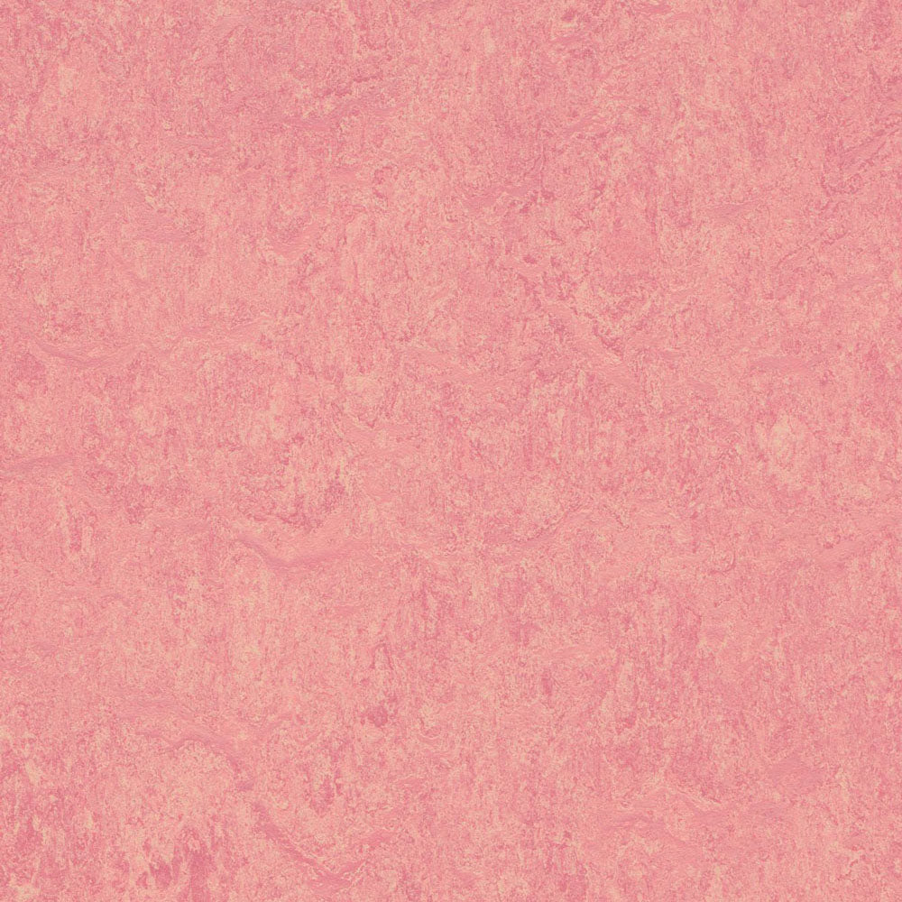 Honeysuckle 3268