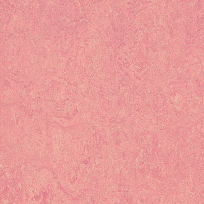Honeysuckle 3268