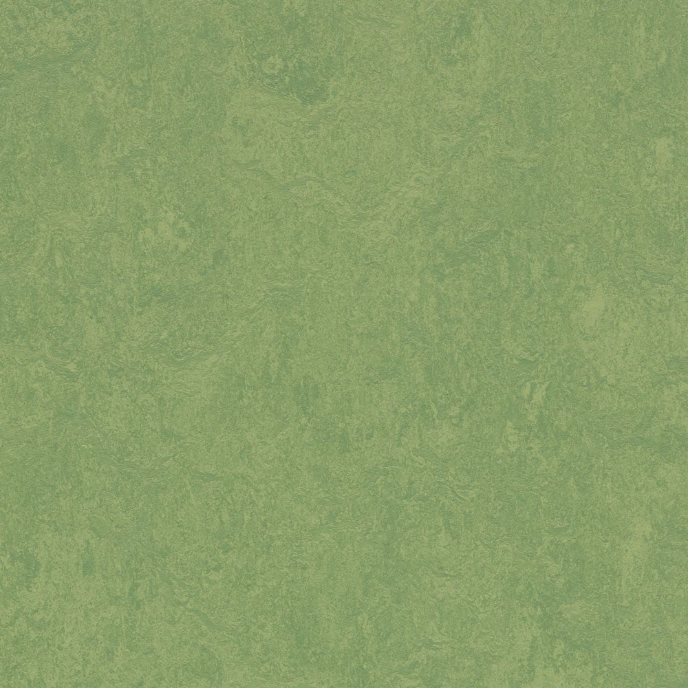 Leaf 3260
