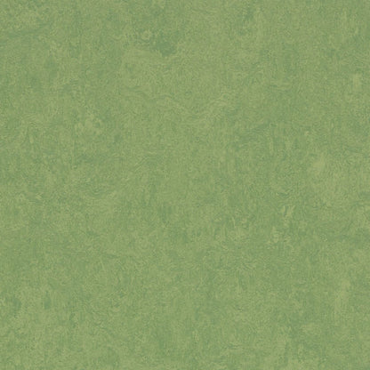 Leaf 3260