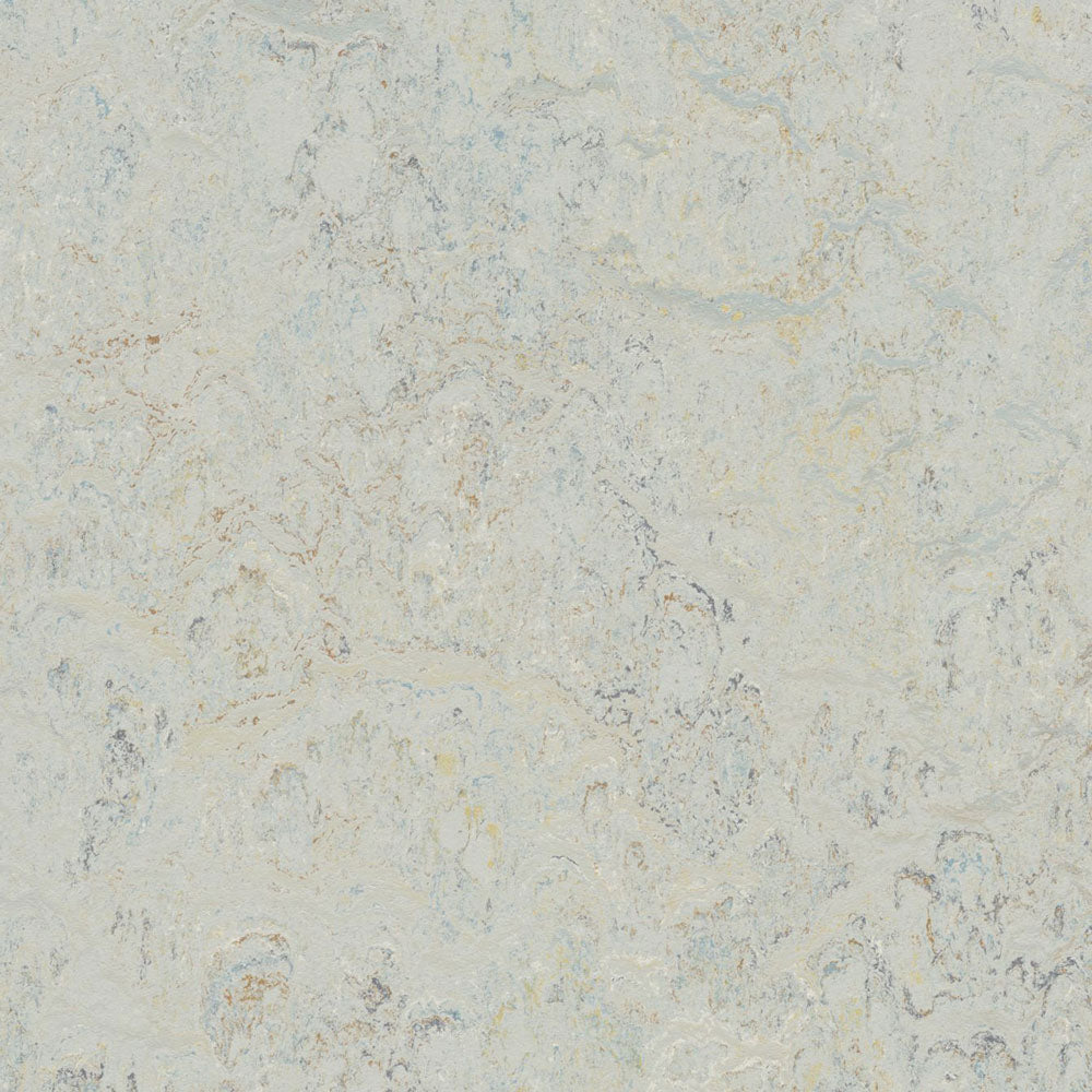 Seashell 3428