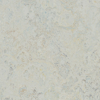 Seashell 3428