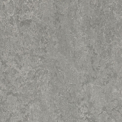 Serene Grey 3146