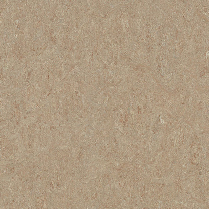 Weathered Sand 5803